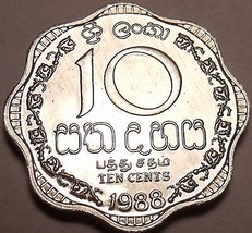 Gem Unc Sri Lanka 1988 10 Cents~Last Year Ever Minted~Scalloped - £2.44 GBP