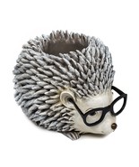 Roman Silly Spectacles Hedgehog with Glasses Planter 6.5 Inch - £50.99 GBP