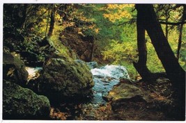 Virginia Postcard Brink Lewis Falls Shenandoah National Park - £2.36 GBP