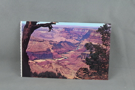 Vintage Postcard - The Grand Canyon Prima Point View - Dexter Press - £11.88 GBP