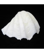 Large Giant Clam Shell 9.5&quot; x 7.5&quot; Fluted Ruffled Tridacna Gigas 2 lbs 1... - $577.41 MXN