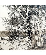 Hallowell Kennebec Birch Landscape Maine 1924 Gravure Print New England ... - $641.82 MXN