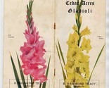 Cedar Acres Gladioli Booklet Hammond Tracy Wenham MA 1920 Bulbs That Bloom - $37.62