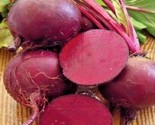 100 Seeds Ruby Queen Beets Seeds Heirloom Vegetable Garden Patio Container - $8.99