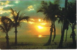 Florida Postcard Golden Sunrise Palm Trees South Florida Coast - $2.96