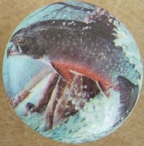 Cabinet Knobs Knob w/ Rainbow Trout Fish - $5.20