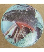 Cabinet Knobs Knob w/ Rainbow Trout Fish - $98.12 MXN