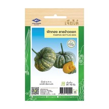 Pumpkin Mottled Skin Seeds Home Garden Asian Fresh Vegetable The Best Thai Seeds - £6.33 GBP