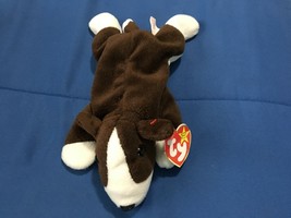 Ty Beanie Babies Bruno *Pre-Owned/Tag has wear* t1-24 - $7.99