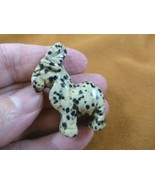 (Y-BUR-566) spotted BURRO donkey LITTLE mule gemstone FIGURINE stone gem... - €17,36 EUR