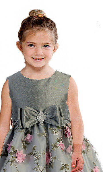 Posh Silver/Pink Floral Embroidered Flower Girl Holiday Dress, Crayon Kids USA