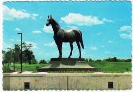 Kentucky Postcard Lexington Horse Park Man O War Wonder Horse - $2.96