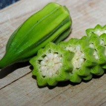 20 Okra Seeds &quot;Star Of David&quot; Old Fashioned Big Okra Vegetable Heirloom - £10.10 GBP