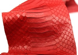Asia Cobra Snake Skin Snakeskin Leather Hide Craft Supply Back Cut Red - $20.62+