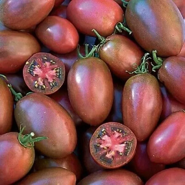 50 Seeds Tsungshigo Chinese Tomato Vegetable Fresh USA Fast Shipping - £13.09 GBP