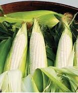 Organic Sweet Opal Sweet Corn Seeds - $4.95