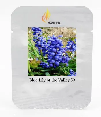 Best seller &#39;Blue Flower Goddess&#39; Lily , Professional Pack, 50 Seed - $9.27