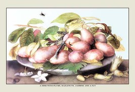 A Dish of Plums, Nuts, Jasmine and a Fly 20 x 30 Poster - $25.98