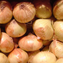 Good Plant - Walla Sweet Onion Seeds | Non-GMO - Organic Vegetable - Eas... - $3.20