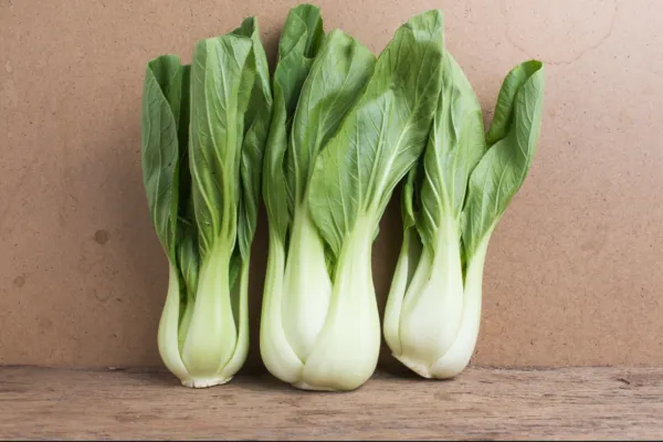 3000 Chinese White Stem Pak Choi Bok Choy Chinese Cabbage Seeds Non-Gmo ... - £7.86 GBP