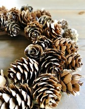 Pine cone 1 inch long-art and craft supply material-give your art a natu... - $12.99