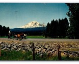 Mount Adams Washington WA Chrome Postcard Z10 - £1.54 GBP