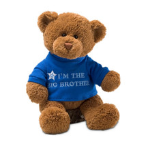 Gund Big Brother Bear (Blue) - £29.28 GBP