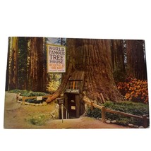 Vintage Postcard World Famous Tree House Believe It Or Not Natural Redwood - £8.03 GBP