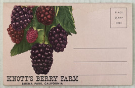 Knott’s Berry Farm Buena Park, California 12 Postcard Souvenir Folder - £7.71 GBP