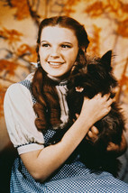 Judy Garland Tot Wizard Of Oz Color 11x17 Mini Poster - £10.35 GBP