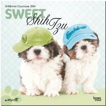 Sweet Shih Tzu 18-Month 2014 Calendar (Studio Pets by Myrna) (Multilingu... - $6.99