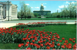 Colorado Capitol Building Denver from Civic Center Gardens Colorado Postcard - £5.40 GBP