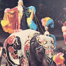 Costume Elephant Ringling Brothers Barnum Bailey Vintage Postcard Circus 1976 - £10.00 GBP