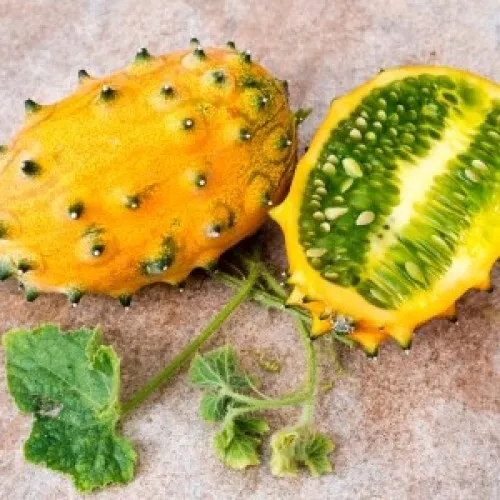 15 Seeds Jelly Melon Garden Fruit Planting Summer Food New Fresh Seeds USA - $7.32