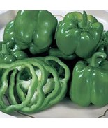 MX Premium California Bell Pepper Most Popular Bell Pepper Variety Bulk ... - $10.09