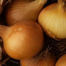 500 Kelsae Sweet Giant Onion Seeds, Award-Winning Mild Giant Onions, Veg... - €11,11 EUR