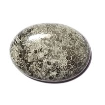 19.80 Carats TCW 100% Natural Beautiful Black Fossil Coral Oval Cabochon Gem by  - £10.83 GBP