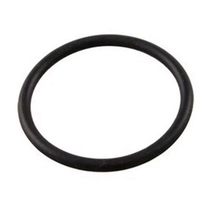 IPW Industries Inc - Fleck O-ring -021 PN 18879 now 19054-124 - $5.88