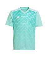 adidasTeam Icon 23 Jersey 'Clear Mint' - $100.00