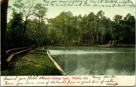  Jesuit College Lake Mobile, Alabama Aldolph Selige Pub UDB Postcard 190... - £18.89 GBP