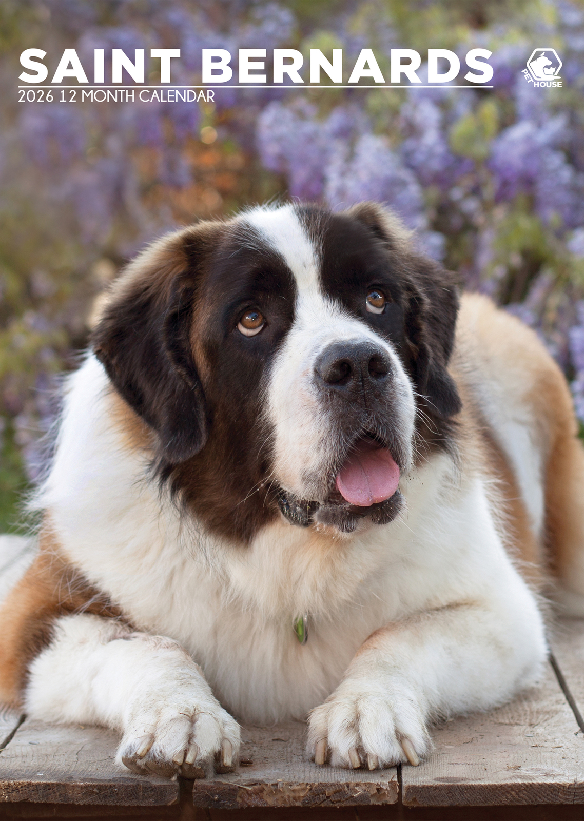 Saint Bernard Calendar 2026 - $19.99