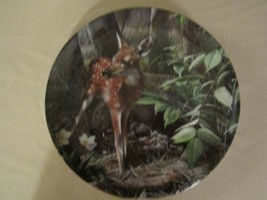 Fawn Deer Collector Plate Kevin Daniel A Place In The Sun Woodland Innocents #3 - £15.94 GBP