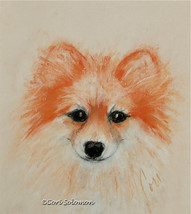 Pomeranian Dog Art Pastel Drawing Solomon - $1,197.85 MXN