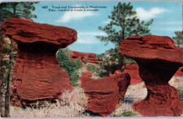 Toad and Toadstools in Mushroom Park Garden of the Gods Colorado Postcard - £5.49 GBP