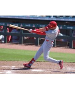 Dylan Carlson Photo - St Louis Cardinals Perfect for Autographs - $5.99