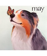 Australian Shepherd Butterfly May Dog Days Poster Calendar 14 x 11&quot; DWDDCal - €26,04 EUR