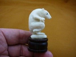 (tb-rat-5) little white Rat bend over Tagua NUT palm figurine Bali carvi... - $49.08