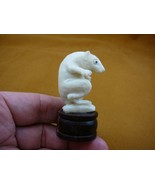 (tb-rat-5) little white Rat bend over Tagua NUT palm figurine Bali carvi... - $67.33 CAD