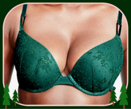 38DD Dk Ever Green Floral Dot Mesh ExtremeLift Victorias Secret Plunge PU UW Bra - £31.49 GBP