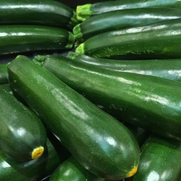 Fresh Squash Black Beauty Zucchini Seeds 25 Ct Summer Vegetable Non-Gmo - £5.92 GBP